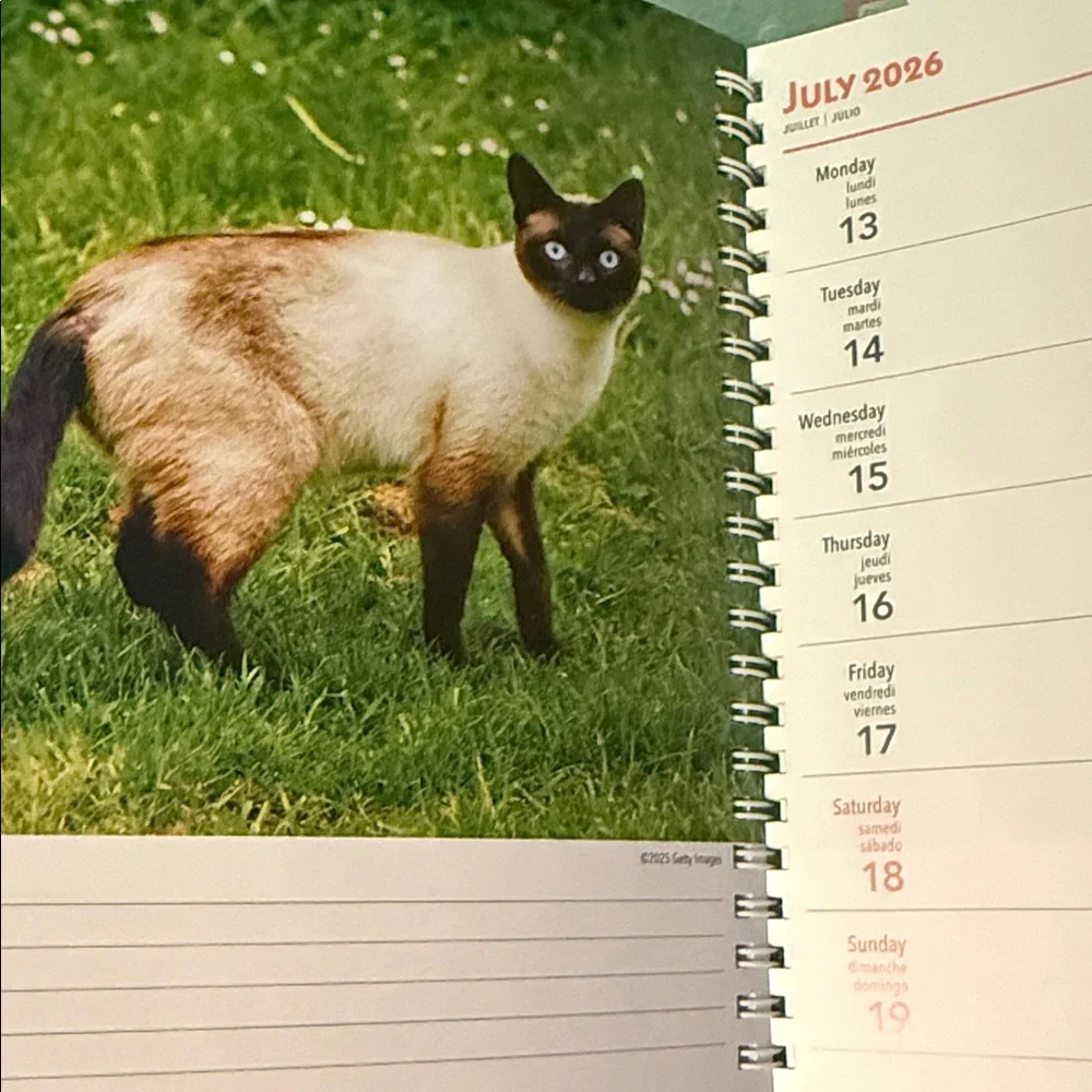 Cat Lovers 2026 Planner BNWT and Mug Set - Blue and White